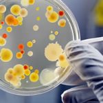 Danh mục các chỉ tiêu Hóa học có khả năng phân tích (cập nhật lần 2 năm 2025, ngày 07/5/2025)